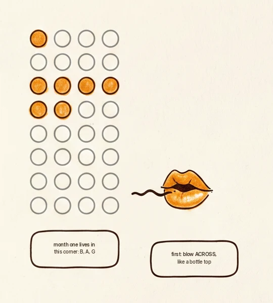 flute fingering chart for beginners: the three first notes and the embouchure that comes first